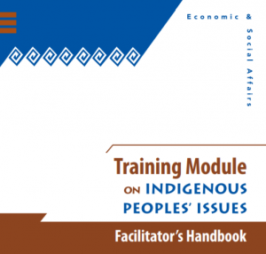 Training Module on Indigenous Peoples Issues: Facilitator’s Handbook (UN)