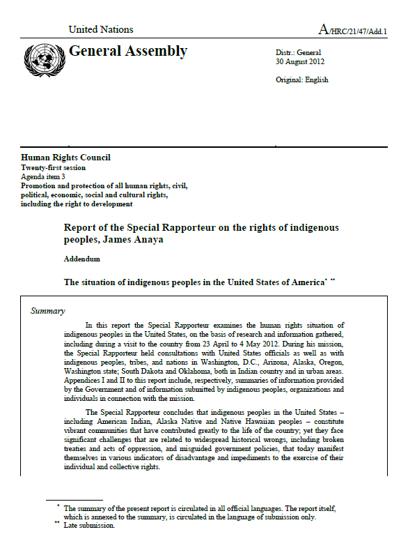 Report of the Special Rapporteur on the situation of indigenous peoples ...