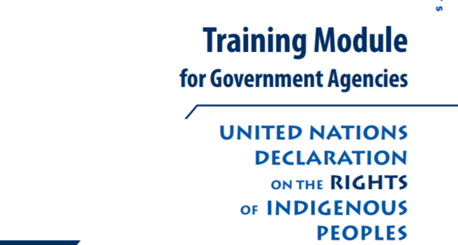 Training Module for Government Agencies. Facilitator’s Handbook