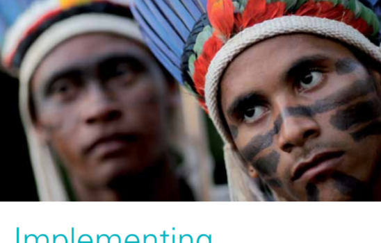 Implementing the UN Declaration on the Rights of Indigenous Peoples. Handbook for Parliamentarians N° 23