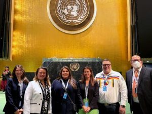 At the UN Permanent Forum on Indigenous Issues