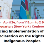 UN Permanent Forum Side Event for “Advancing the UN Declaration on the Rights of Indigenous Peoples”
