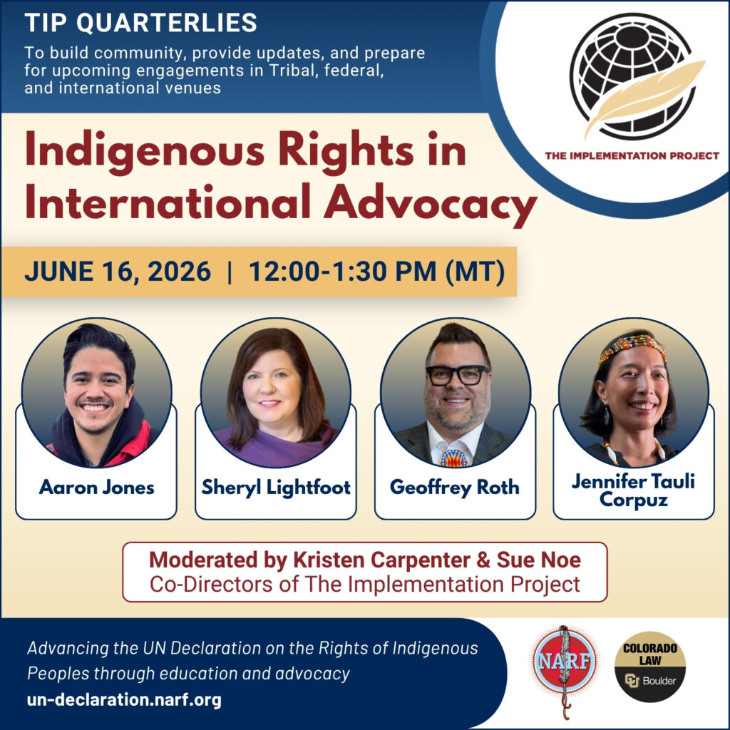 Support For Indigenous Rights The Implementation Project – Achieving the Aims of the UN Declaration ...