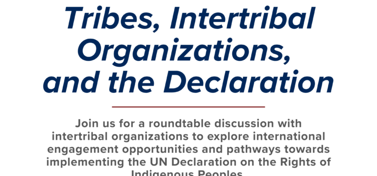 “Tribes, Intertribal Organizations, and the Declaration,” a TIP Quarterly – September 10, 2026 “Tribes, Intertribal Organizations, and the Declaration,” a TIP Quarterly – September 10, 2026