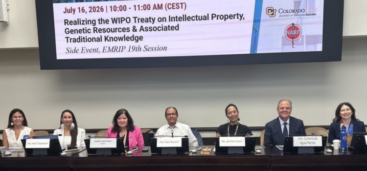 The Implementation Project at the 19th Session of the UN Expert Mechanism on the Rights of Indigenous Peoples The Implementation Project at the 19th Session of the UN Expert Mechanism on the Rights of Indigenous Peoples