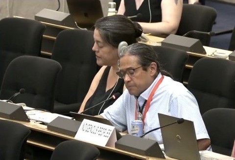 NCAI President, Mark Macarro, delivering an intervention during the 19th Session of EMRIP