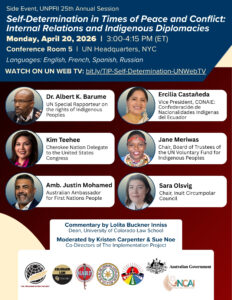 TIP's Side Events at the UN Permanent Forum on Indigenous Issues' 25th Annual Session