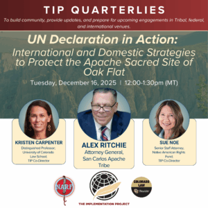UN Declaration in Action: International and Domestic Strategies to Protect the Apache Sacred Site of Oak Flat