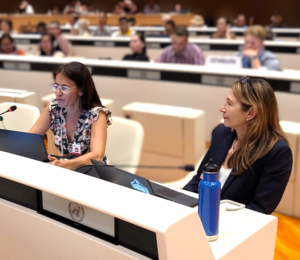 Expert Mechanism on the Rights of Indigenous Peoples Annual Session - Registration open until July 4