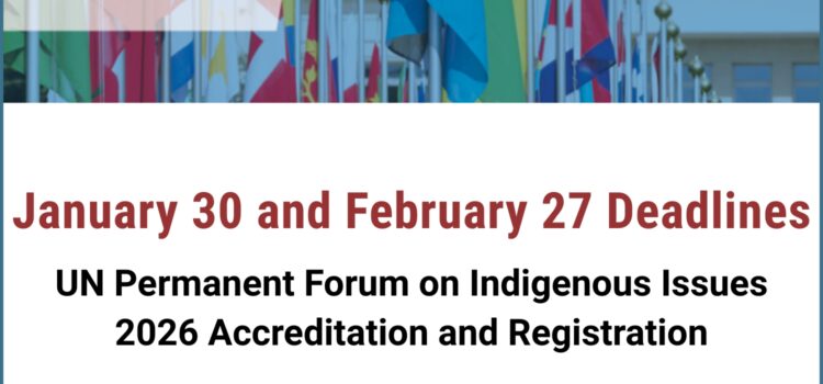 UN Permanent Forum on Indigenous Issues 2026 – January 30 Deadline