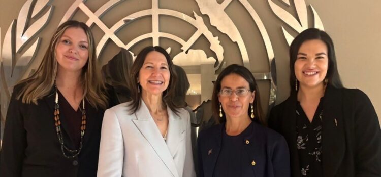 The Implementation Project at the 25th Session of the UN Permanent Forum on Indigenous Issues