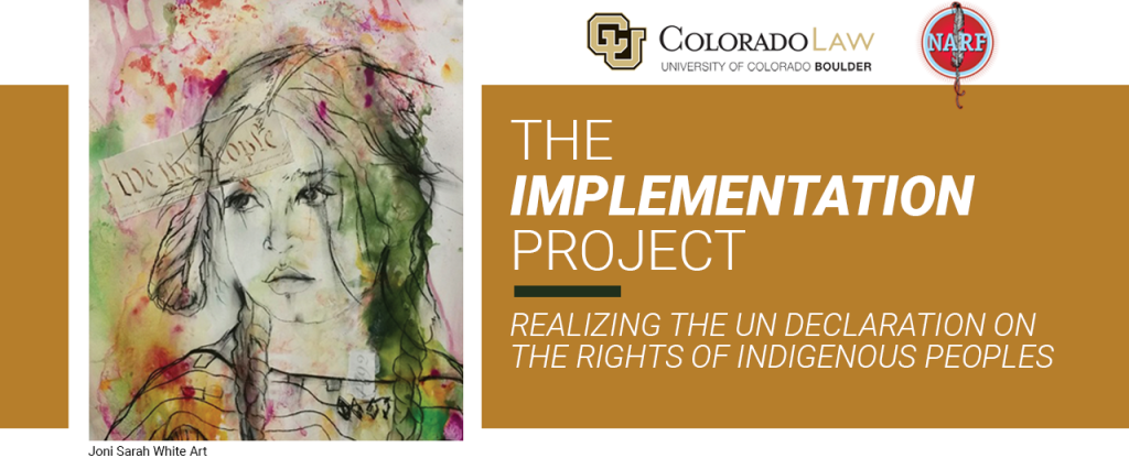 Text: The Implementation Project: Realizing the UN Declaration on the Rights of Indigenous Peoples