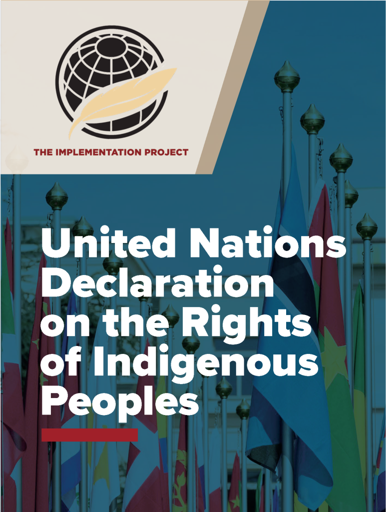 Screenshot of the cover The Implementation Project's edition of UN Declaration on the Rights of Indigenous Peoples. 